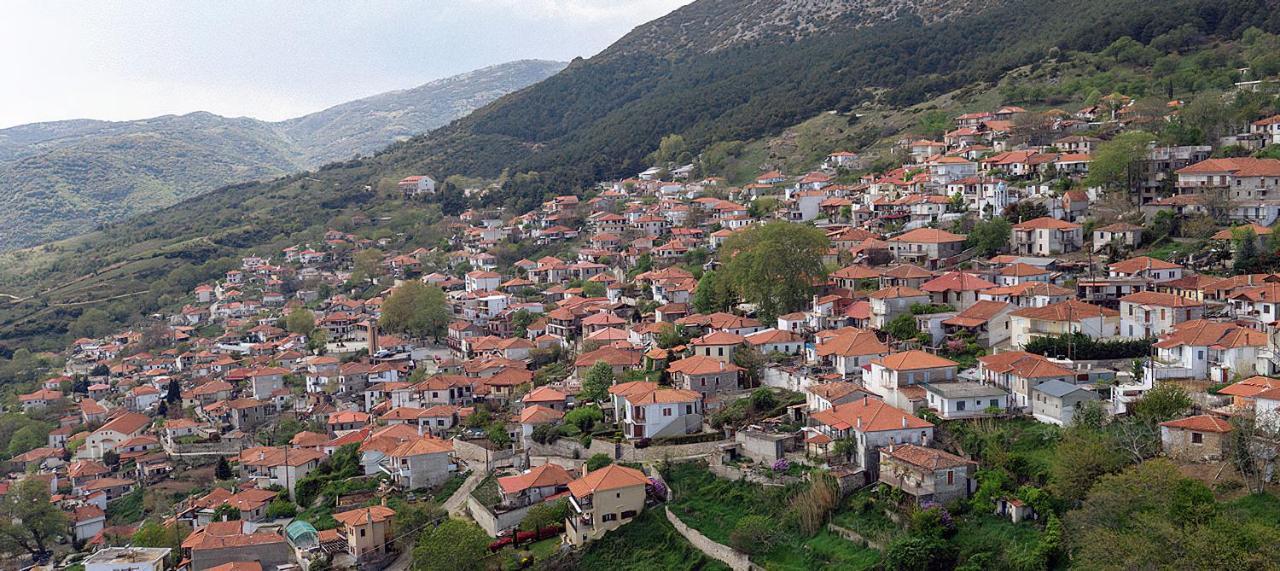 Rapsani Panorama Villa Εξωτερικό φωτογραφία