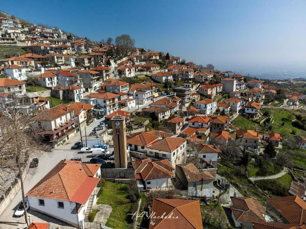 Rapsani Panorama Villa Εξωτερικό φωτογραφία
